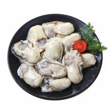 Shucked Oyster Meat (1lb)